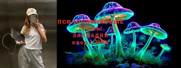 дмт Абаза