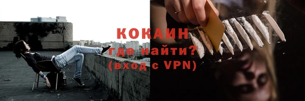 дмт Абаза