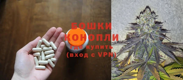 дмт Абаза